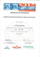 Сертификат сотрудника Зацепурина А.А.