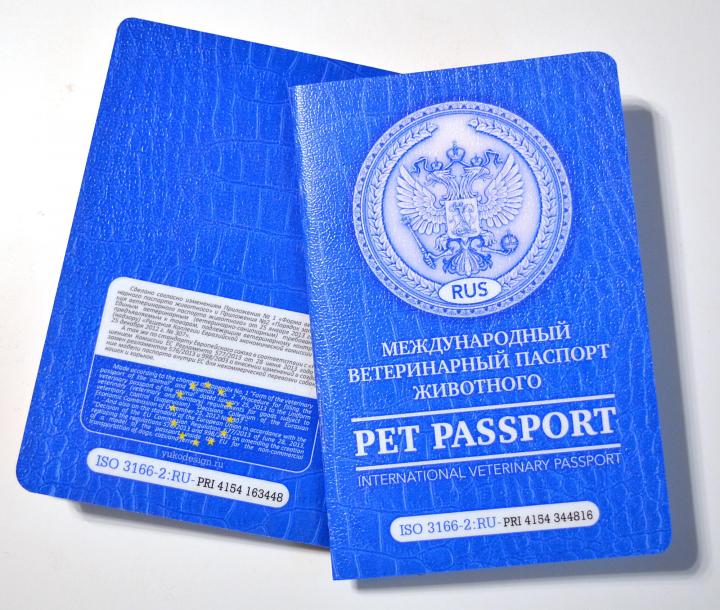 Сделать Фото На Паспорт Екатеринбург
